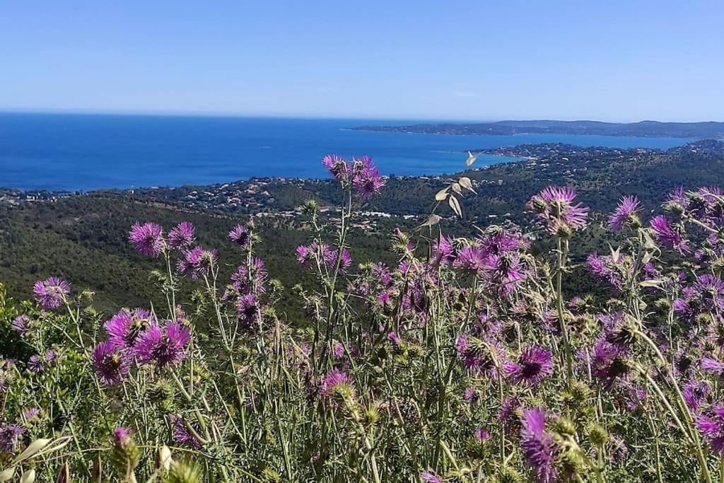 Aphrodite By Kleidos - Tres Belle Maison 6 P Climatisee Golfe Sainte Maxime Roquebrune-sur Argens Exteriör bild